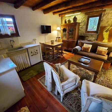 Arbúcies El Solei Paraiso En El Montseny מראה חיצוני תמונה