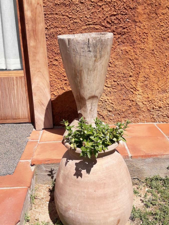 Arbúcies El Solei Paraiso En El Montseny מראה חיצוני תמונה