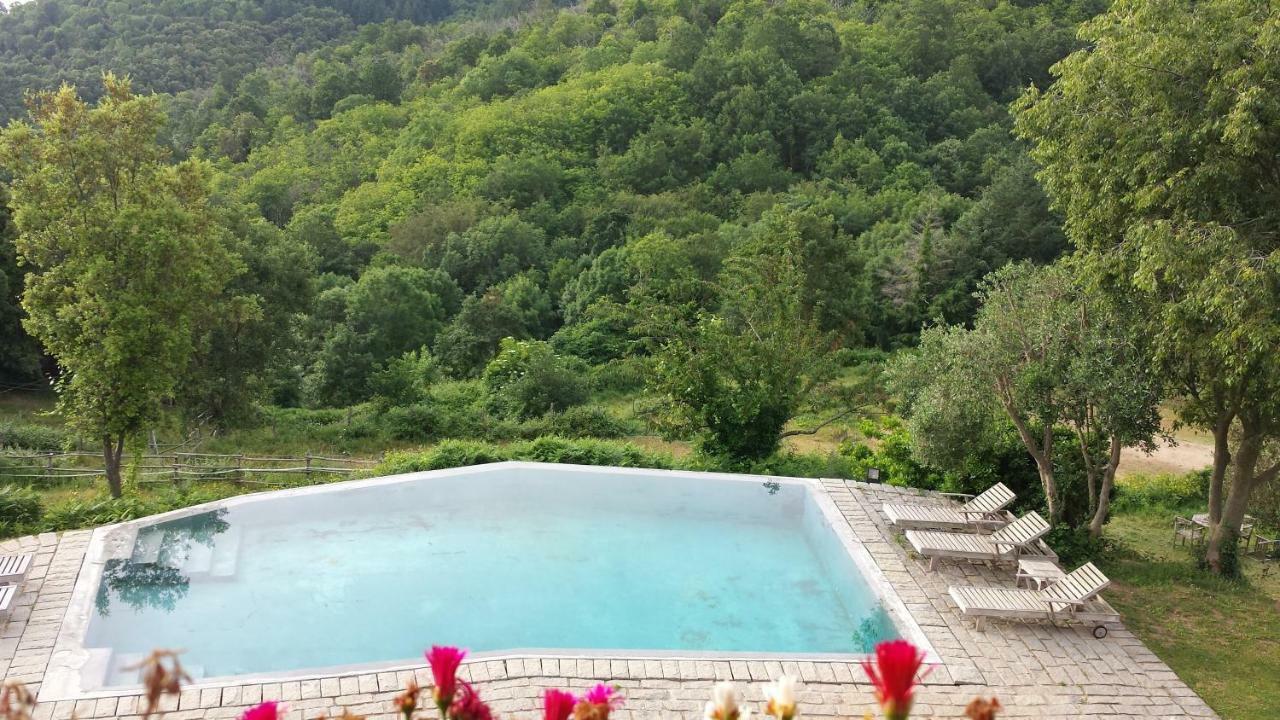 Arbúcies El Solei Paraiso En El Montseny מראה חיצוני תמונה